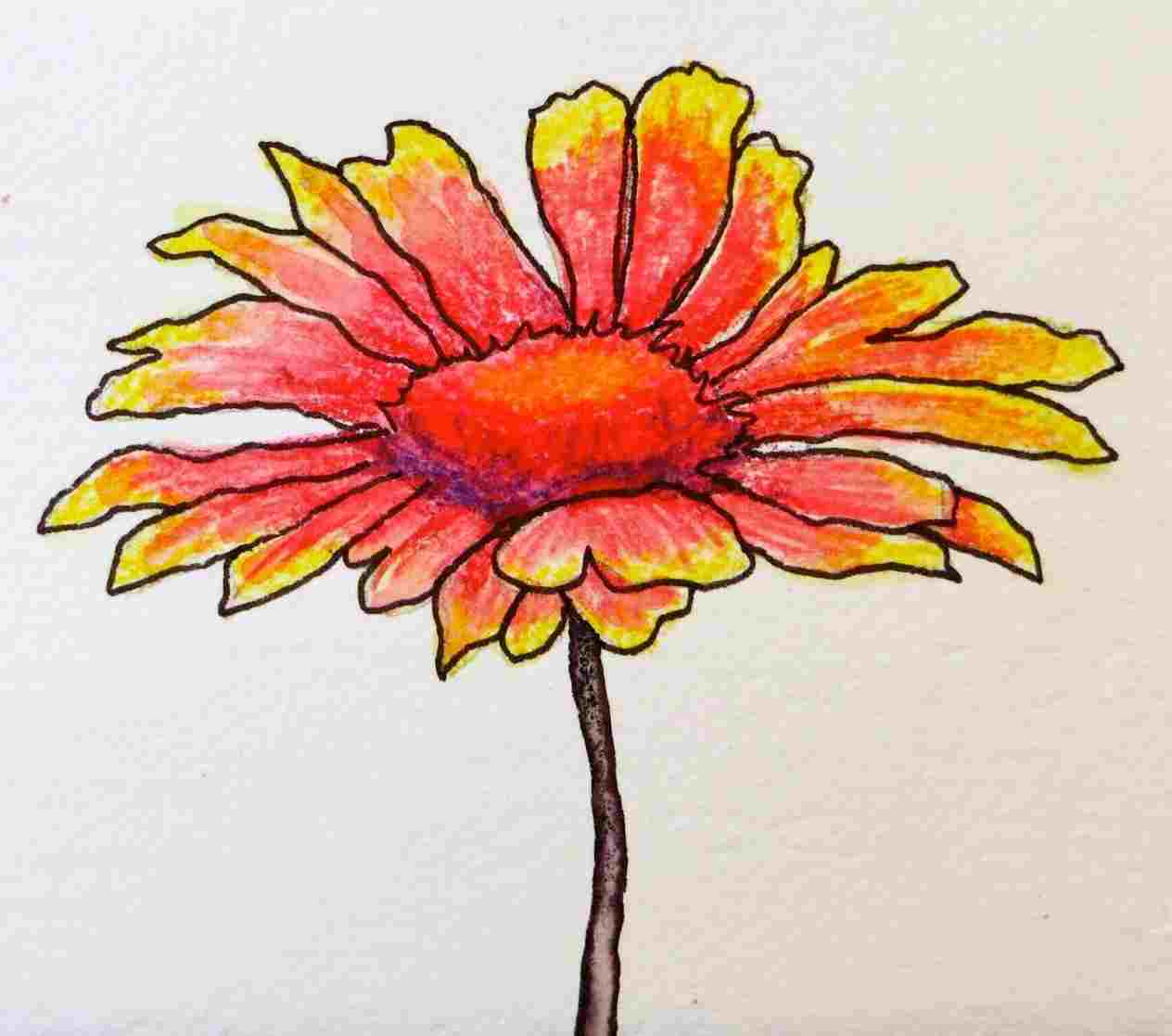 1264x1117 Colored Pencil Drawings Of Flowers Abstract Drawing Fine Art