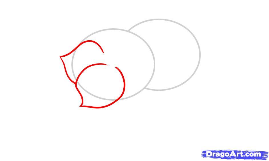 942x563 How To Draw Flower Crowns Best Flower Site