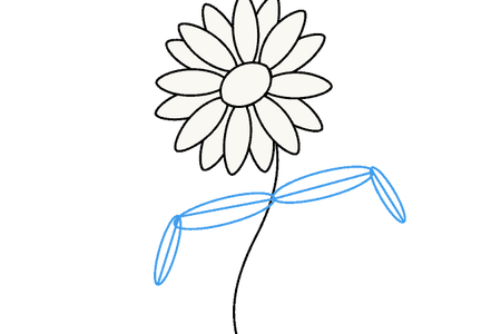 450x300 Drawing Totorial Flower Crown Frames Illustrations Hd Images