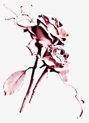 300x415 Flowers Tumblr Png, Transparent Flowers Tumblr Png Image Free