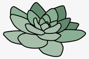 300x201 Flowers Tumblr Png Images Png Cliparts Free Download On Seekpng