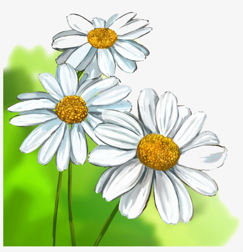 Flower Daisy Drawing | Free download on ClipArtMag
