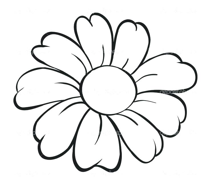 736x648 Flower Drawings With Color