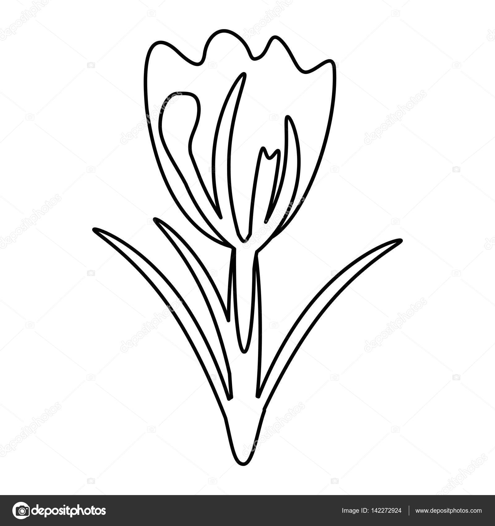 Flower Decoration Drawing