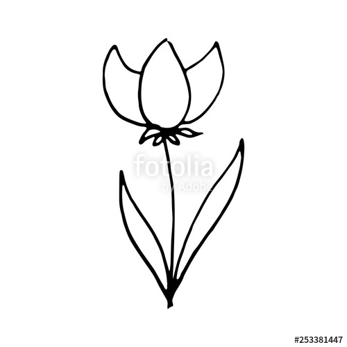 500x500 Hand Drawn Flower Doodle Sketch Style Icon Decoration Element