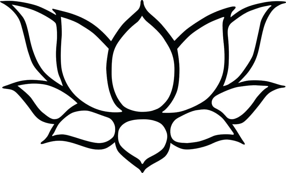 974x589 Flower Drawing Easy Flowers Drawing Simple Flowers Drawing Best