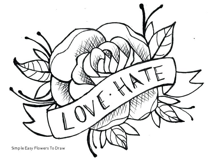 736x570 Flower Drawling Flower Drawing Flower Drawing Images Download