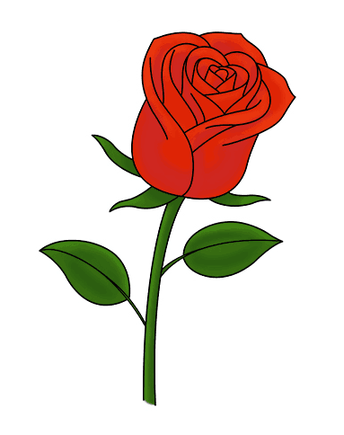 383x484 Easy Ways To Draw A Rose