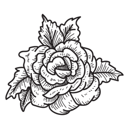 256x256 Collection Of Free Background Drawing Flower Download On Ui Ex