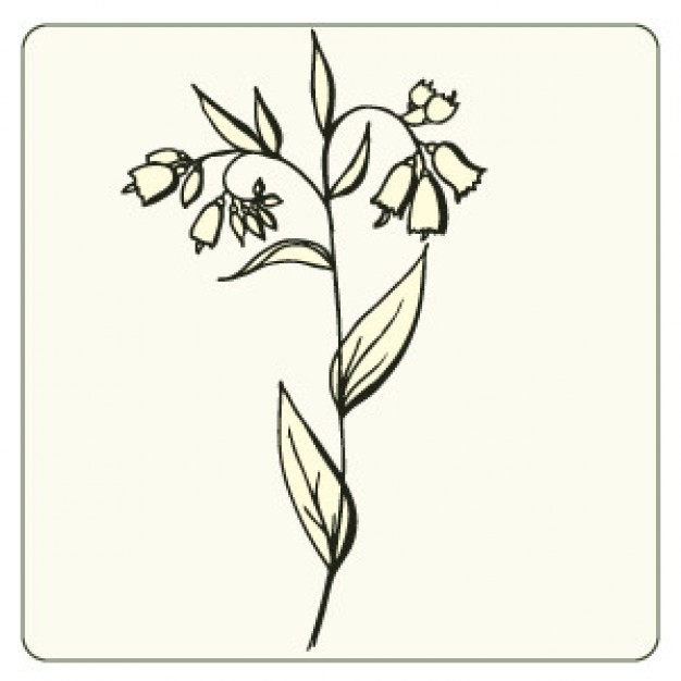 626x626 Download Vector