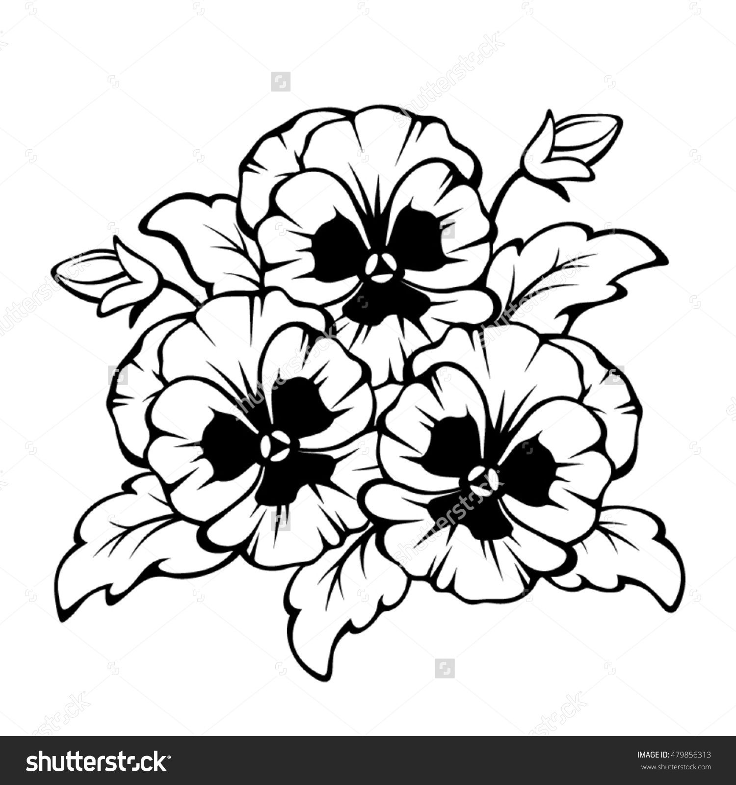 1500x1600 Vector Black Contour Of Pansy Flowers Isolated On A White