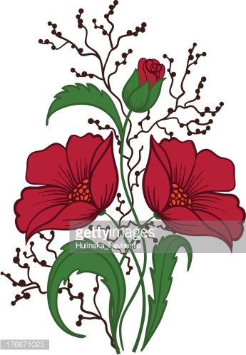 345x498 Beautiful Floral Arrangement Hand Drawing On A White Premium