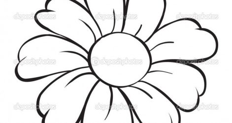 471x250 Black And White Flower Tattoo Drawing Background Pencil Free Aster