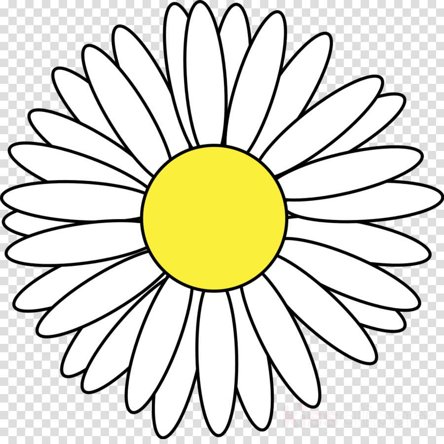 900x900 Drawing, Cartoon, Flower, Transparent Png Image Clipart Free