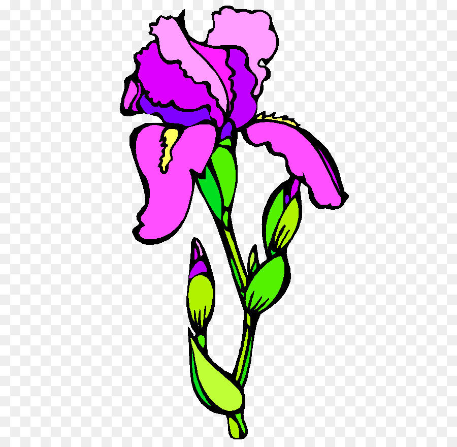 900x880 Floral Design Flower Carnation Drawing Cartoon