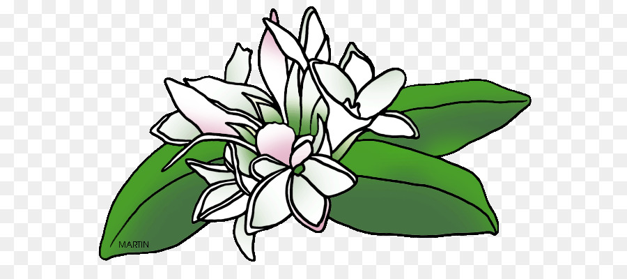 900x400 Drawing, Flower, Green, Transparent Png Image Clipart Free Download