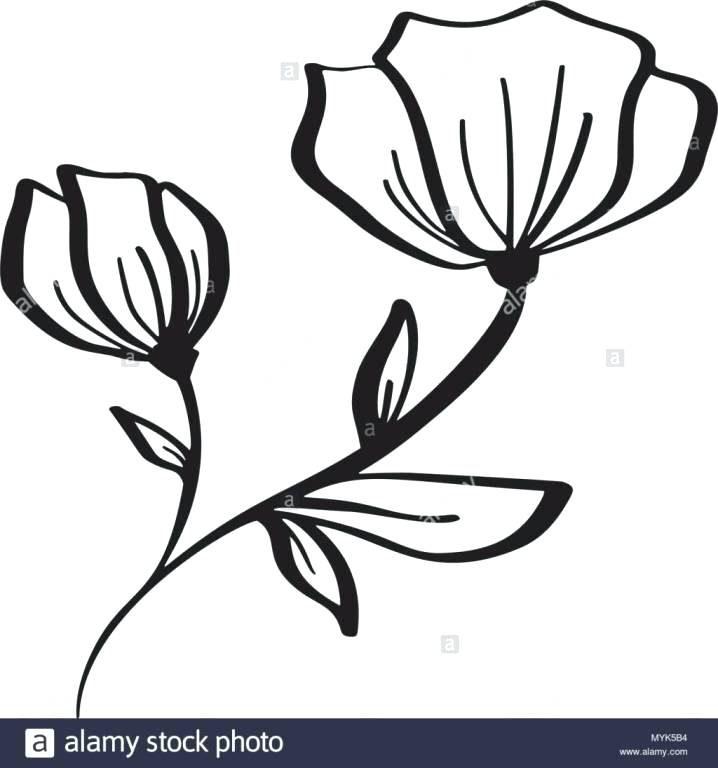 718x768 Flower Simple Drawing