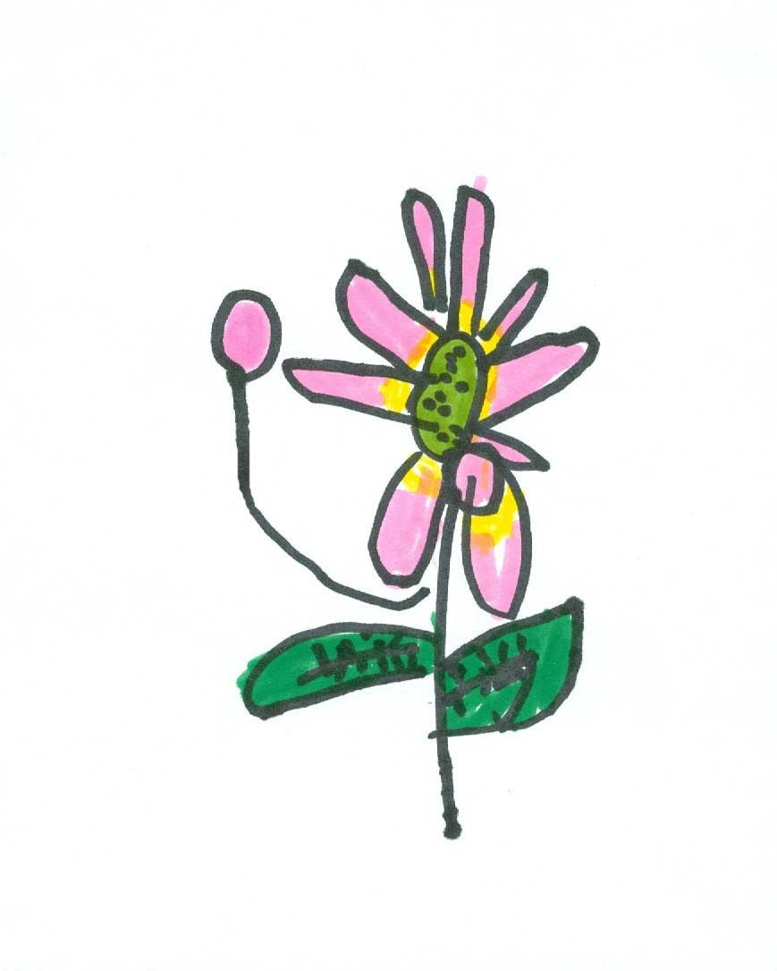 869x1085 Impressive Kids Flower Drawing Gallery