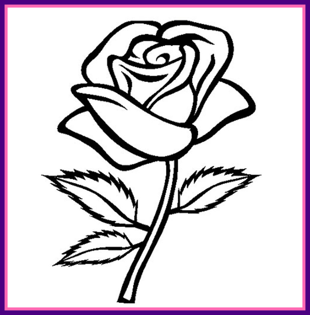 1032x1049 Rose Flower Drawing Astonishing Easy To Draw Rose Flower Drawing