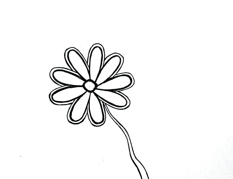 794x613 Simple Flower Drawing For Kids Image Architectures In Spain