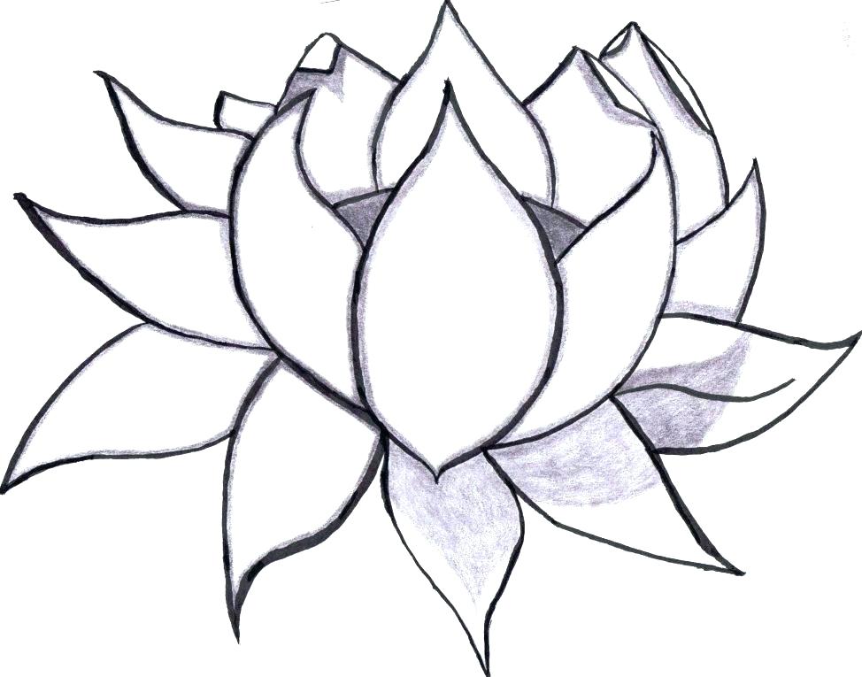 974x765 Easy Coloring Pages Of Flowers