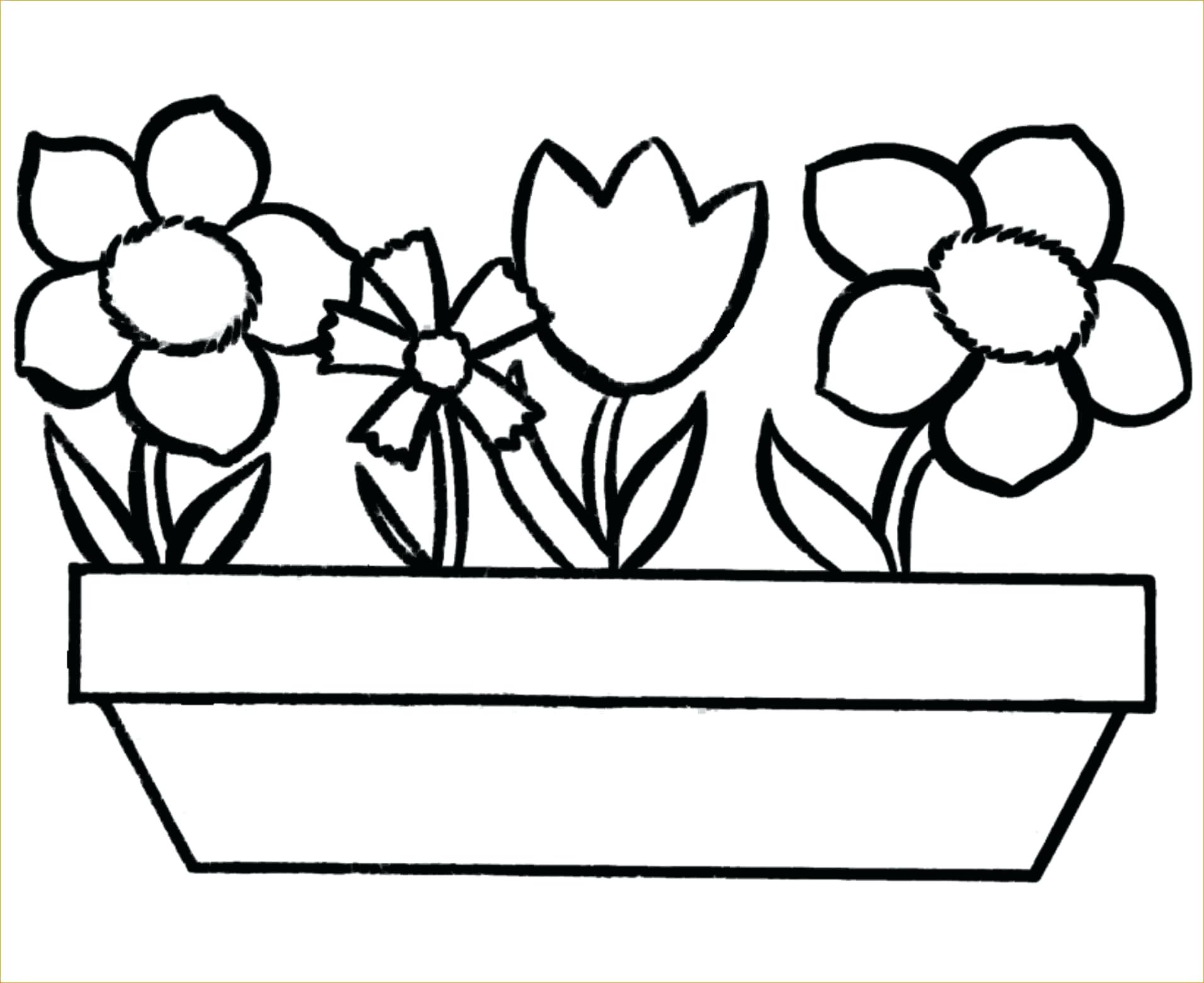 1913x1563 Flower Colouring Games Poppy Flower Coloring Pages Colouring
