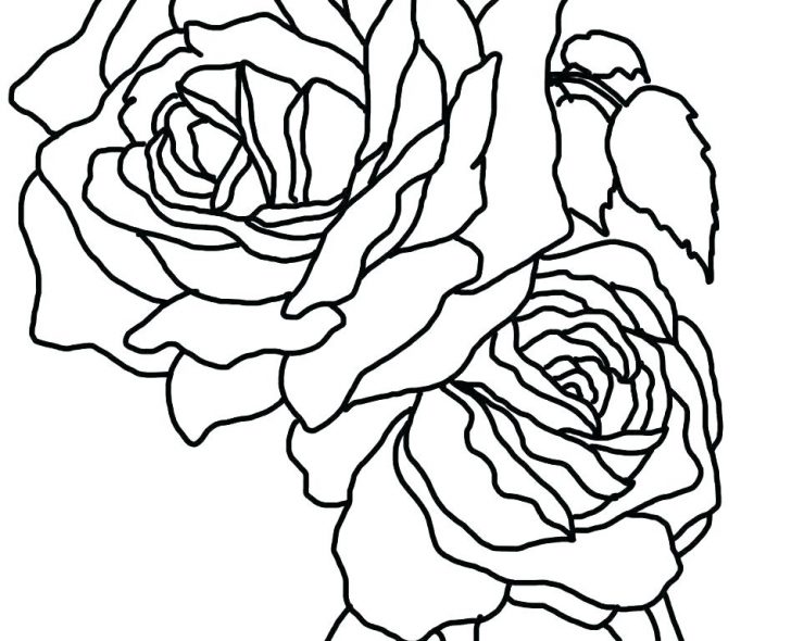 728x590 Free Printable Hawaiian Flowers Coloring Pages Flower