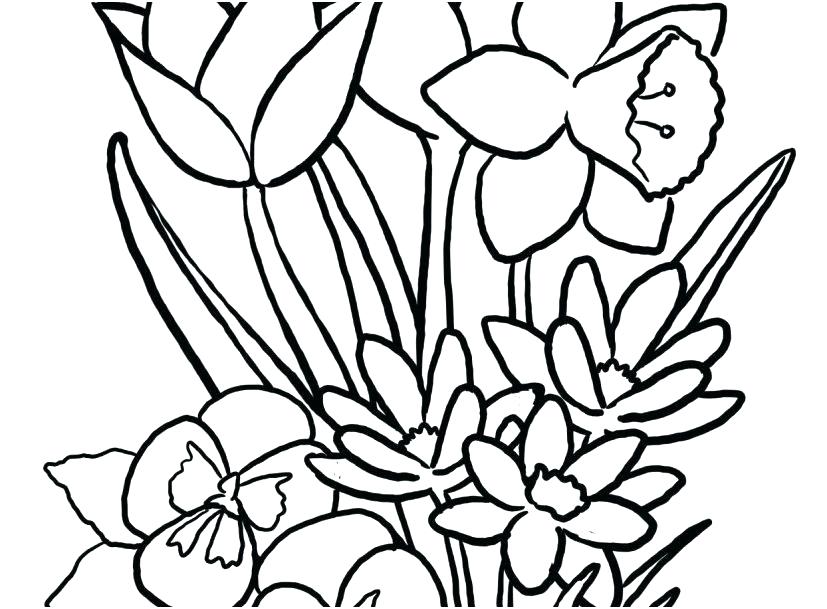 Flower Drawing Games | Free download on ClipArtMag