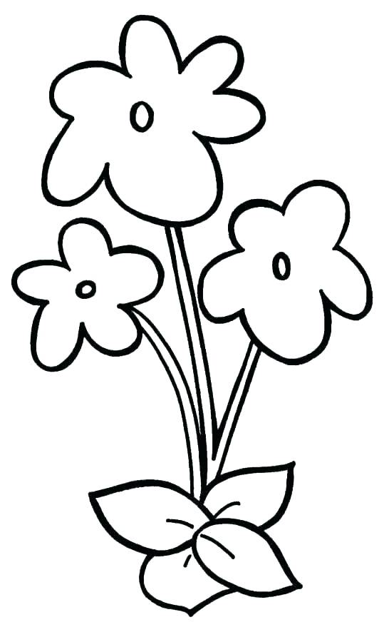 546x900 Coloring Flowers Games