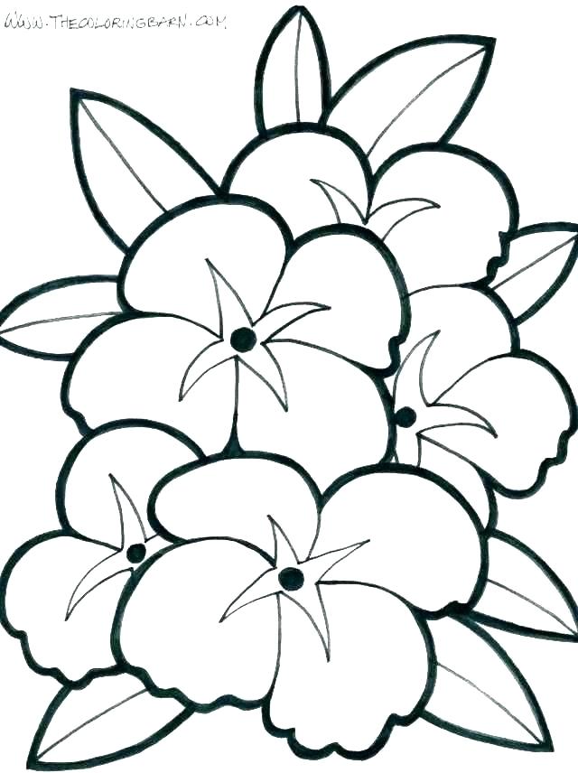 640x856 Flowers Coloring Games