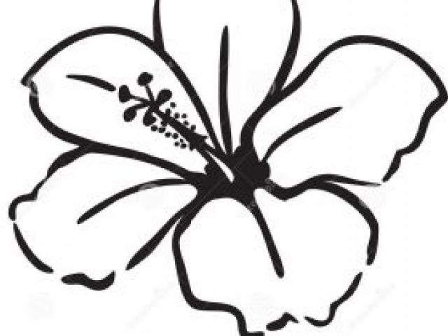 Flower Drawing Ideas | Free download on ClipArtMag