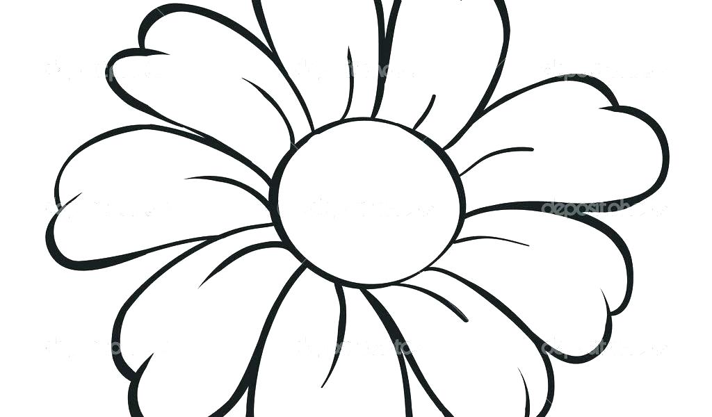 1024x600 Lotus Flower Sketch Lotus Flower Sketchup