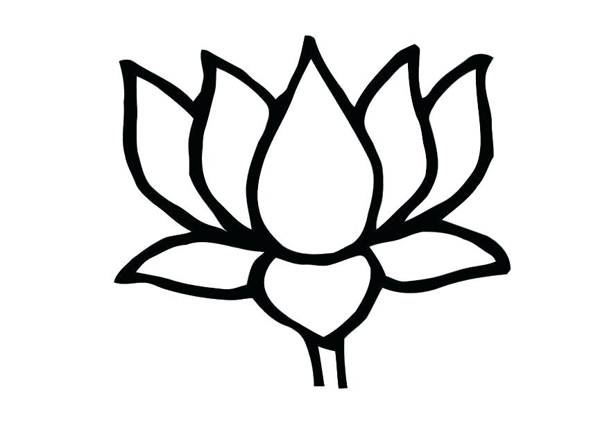 875x620 Drawing Of Lotus Flower