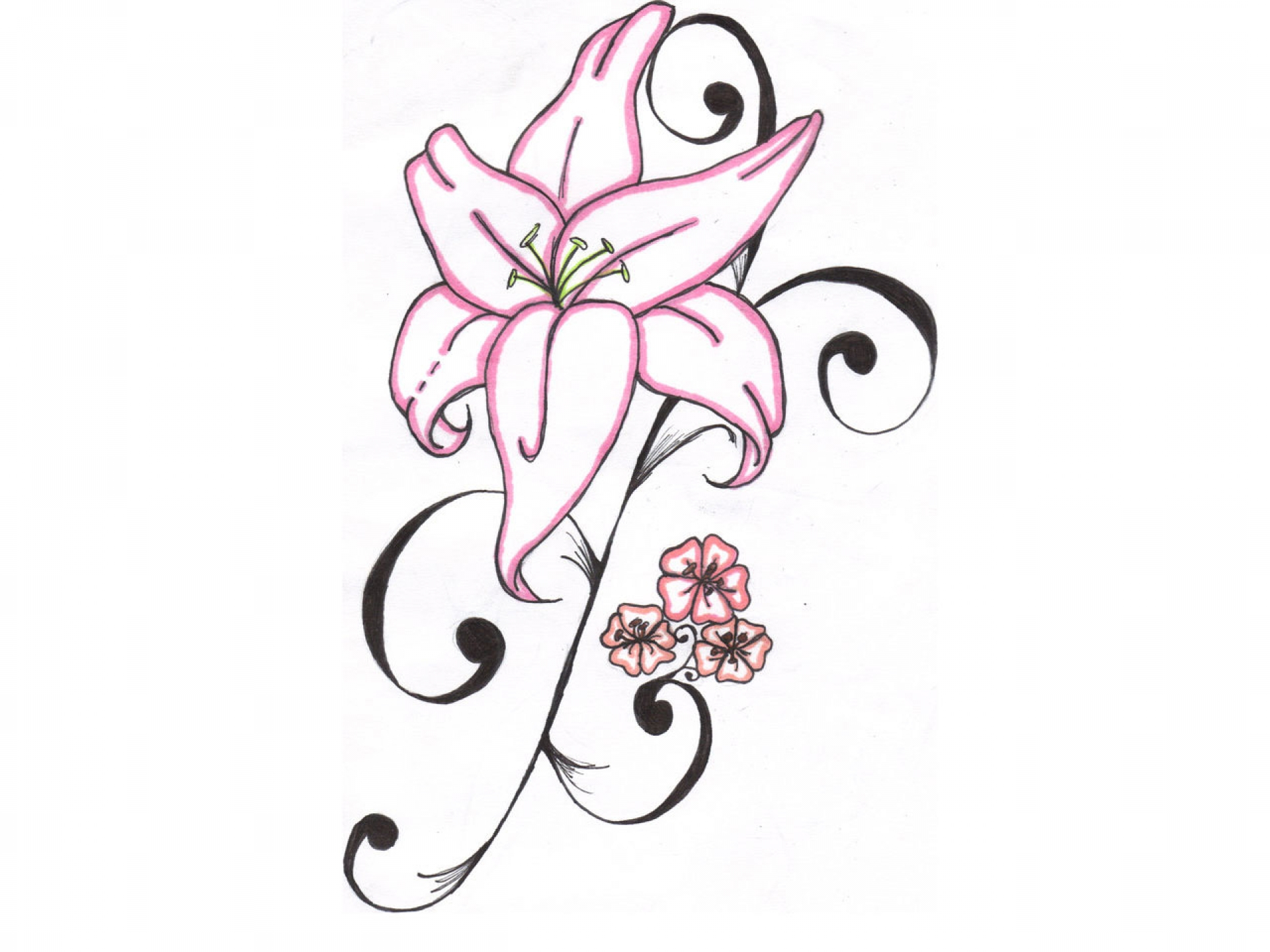 Flower Drawing Lily | Free download on ClipArtMag