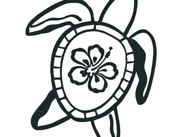 640x480 Hawaiian Flowers Coloring Pages Free Flowers Coloring Pages Flower