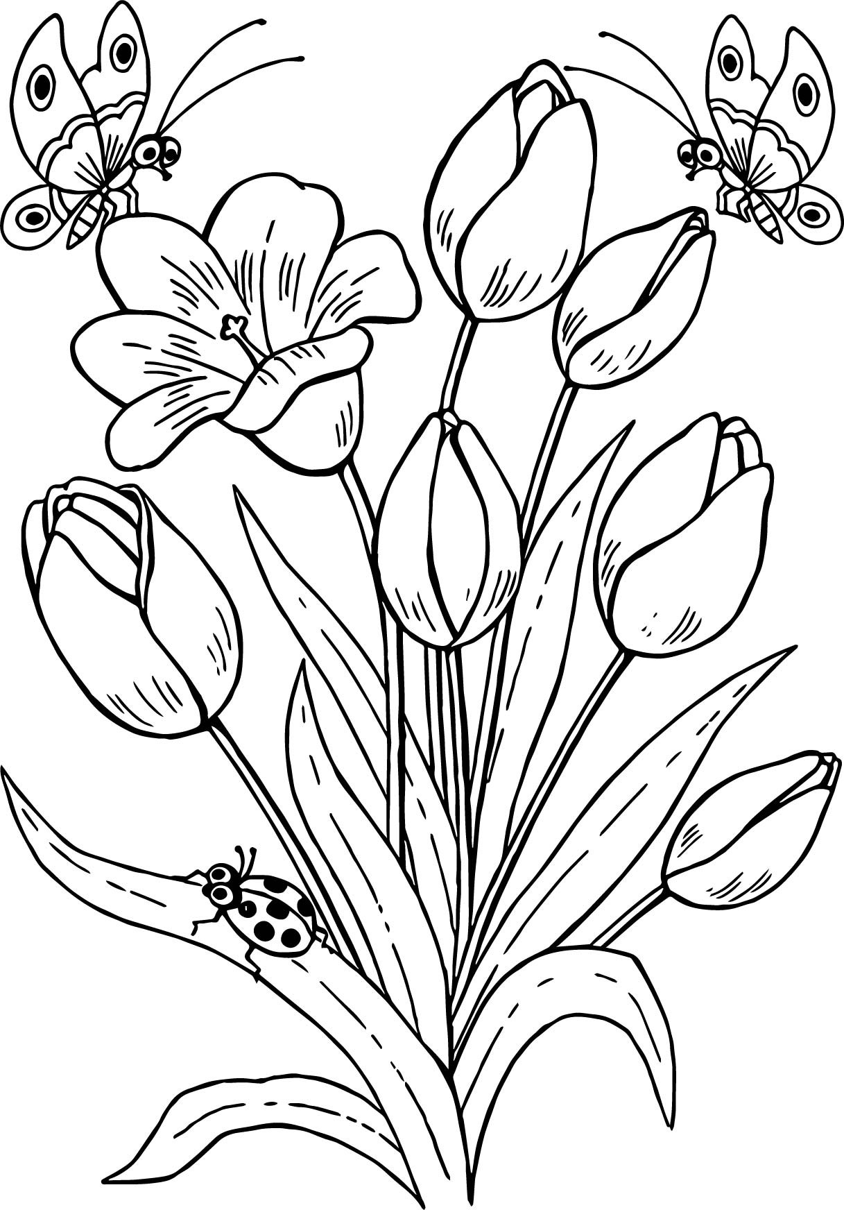 1217x1744 Tulip Coloring Pages Flower Drawing At Getdrawings Com Free