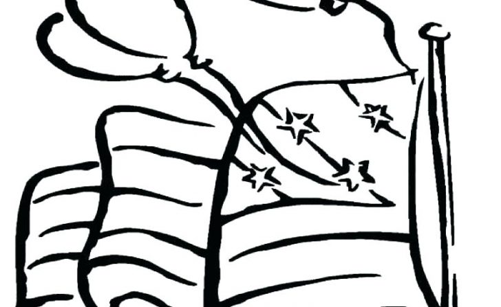 728x447 Daisy Flower Drawing Coloring