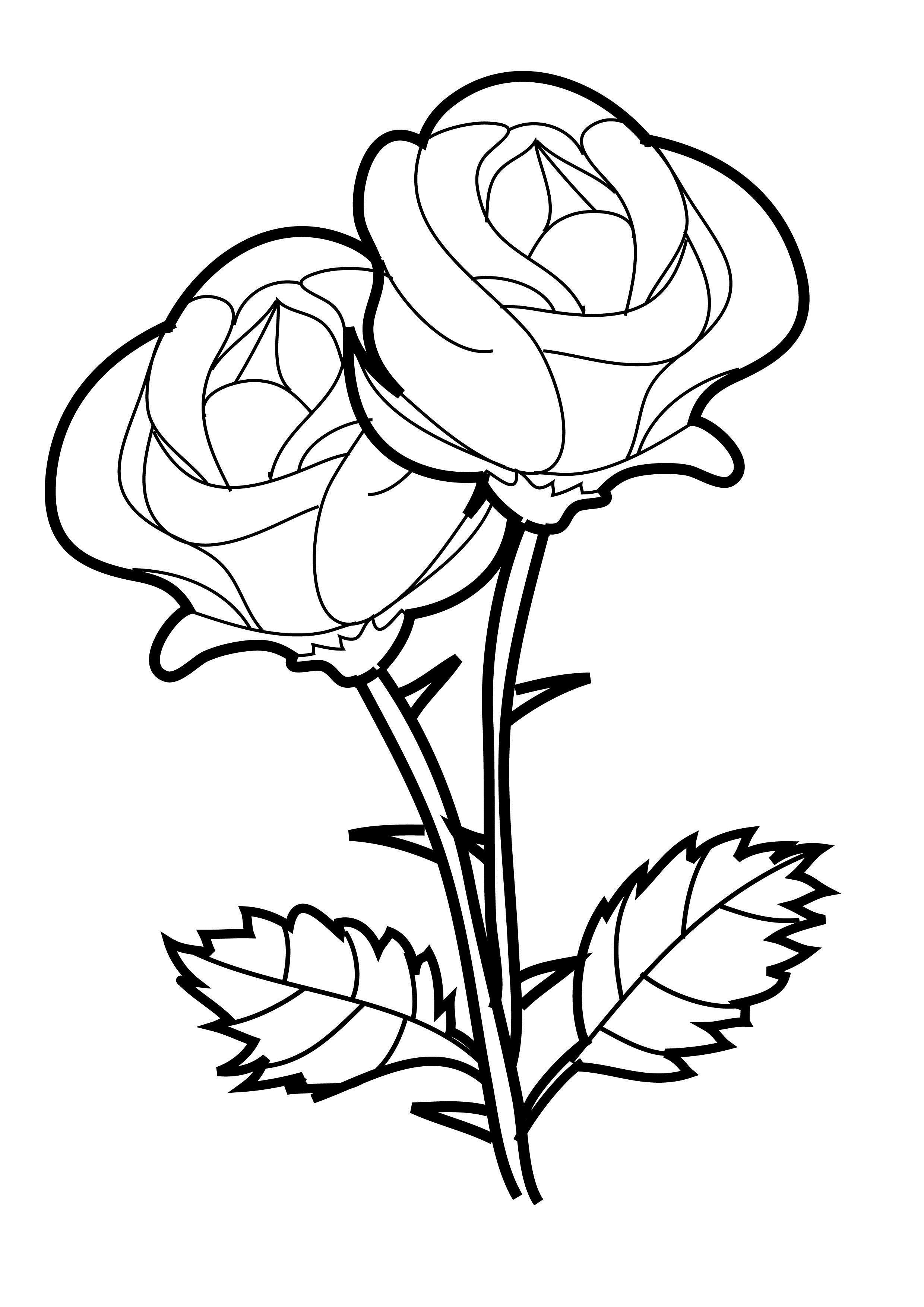 2480x3508 Flower Coloring Pages Crosses And Rose Page