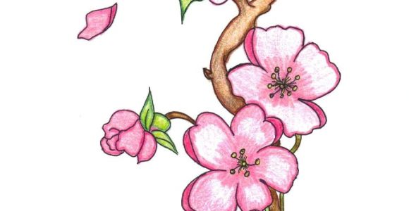 580x300 Japanese Flowers Troller Us