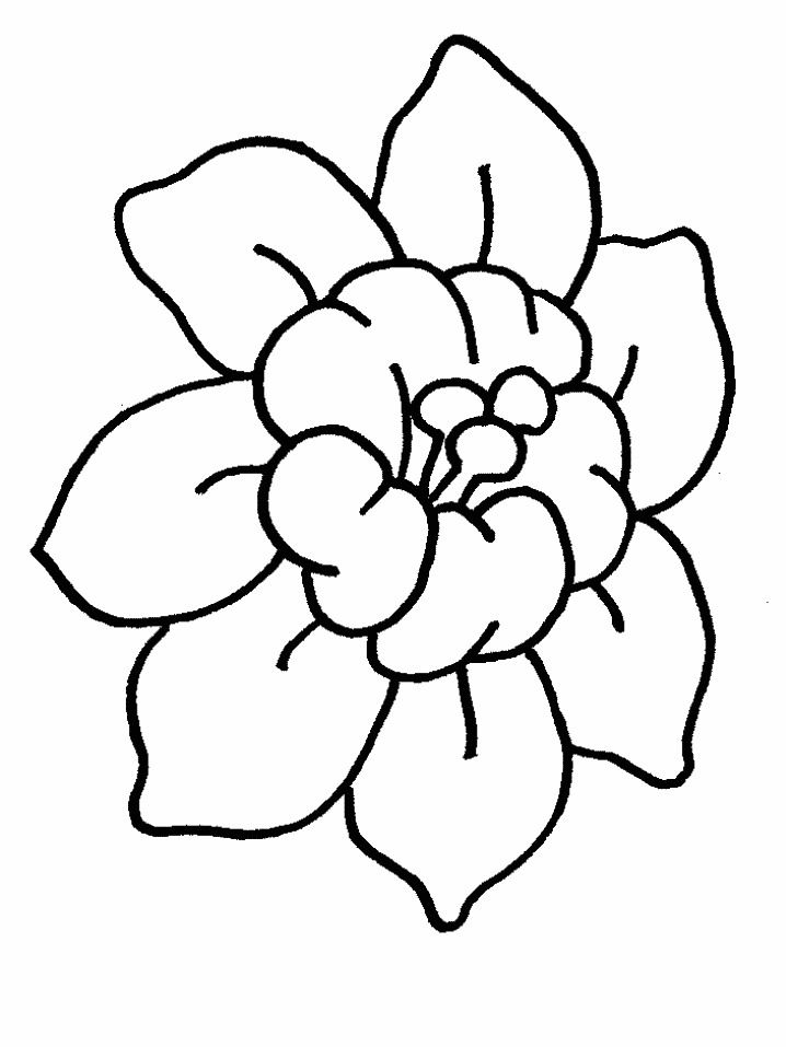 718x957 Coloring Splendid Flower Coloring Pages With Pot Dibujos Para