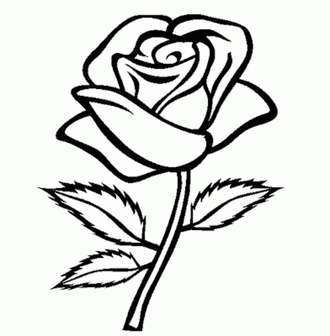 1084x1106 Cute Flower Drawings Tumblr Easy Of Roses Hard
