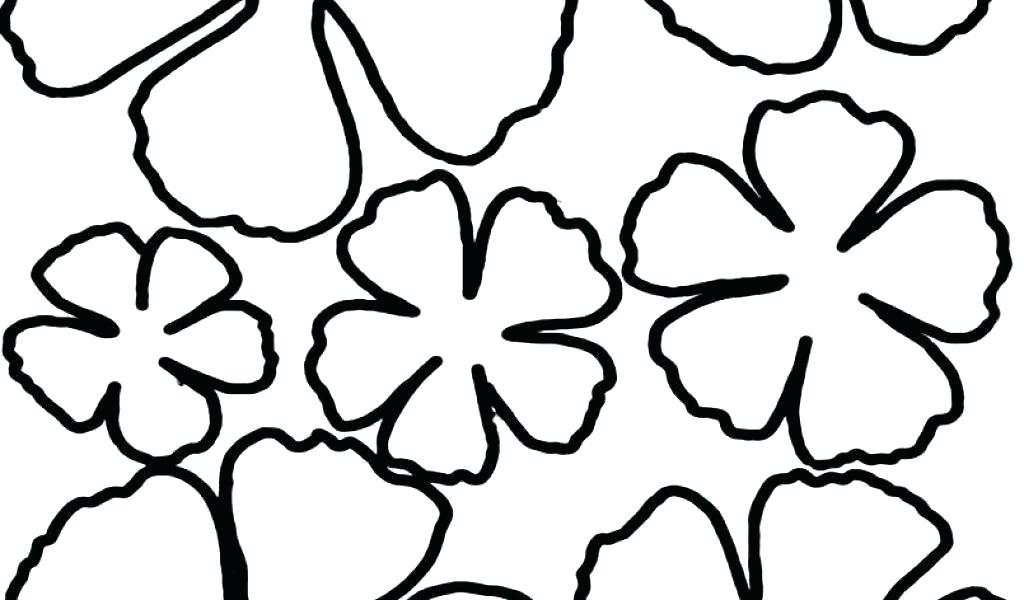 1024x600 Image Hibiscus Stencil Template Flower Tropical