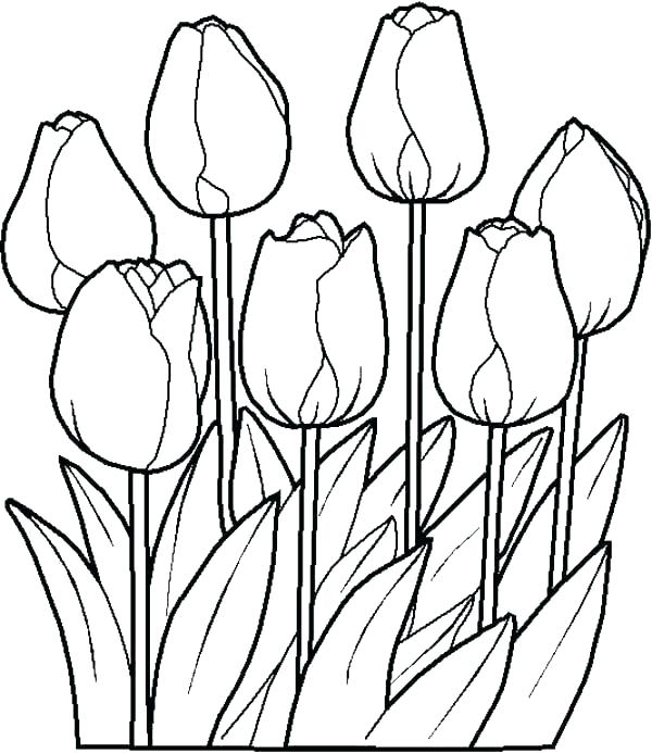 600x693 Printable Spring Flowers Free Printable Spring Flowers Coloring