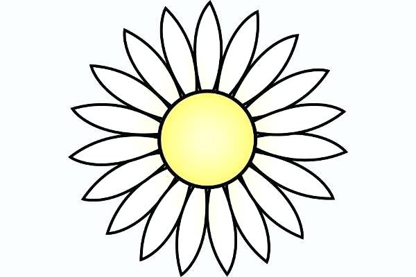 600x400 Daisy Flower Template