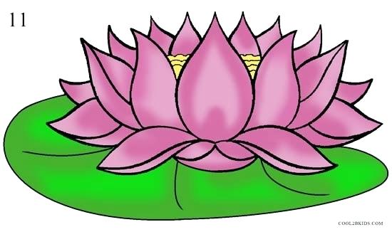 550x326 Cool Flower Drawing How To Draw Lotus Flower Step Flower Drawings