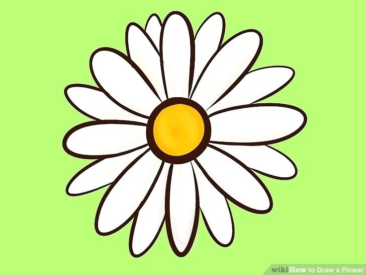 728x546 Easy Drawing Flower Image Titled Draw Flowers Step Easy Flower