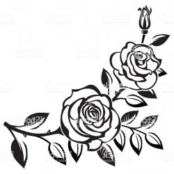 250x250 Tumblr Black And White Flowers Drawing Rose Step