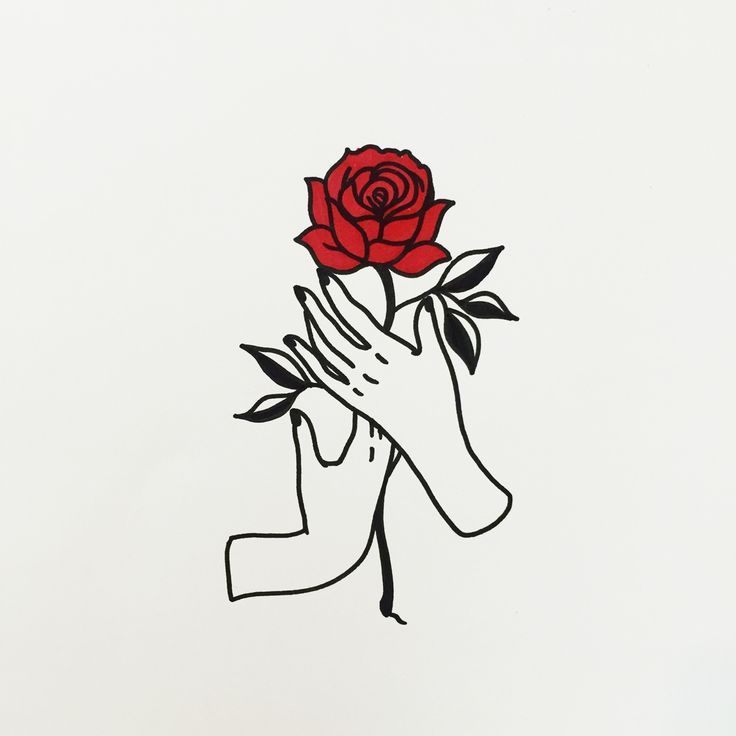 736x736 Hands Holding A Rose Doodle Outline Vorlagen In Tattoos