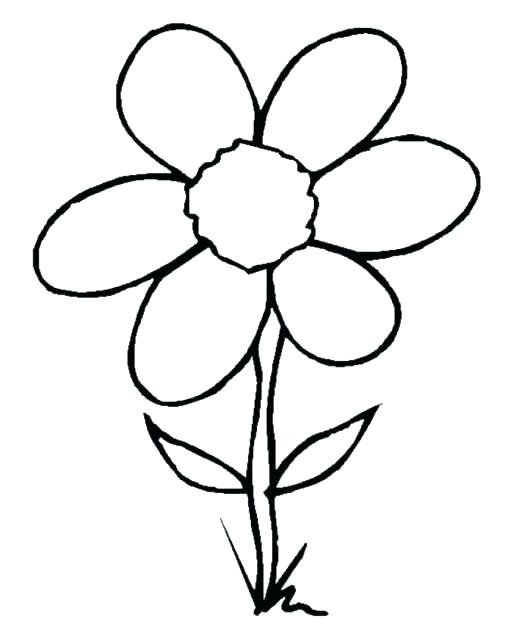 530x627 Easy Flower To Draw Image Titled Draw Flowers Step Easy Flower