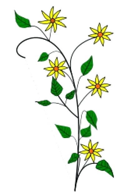 443x626 Simple Flower Drawings Simple Yellow Flowers Drawing With White